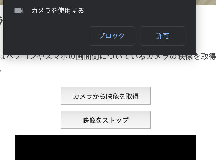 JS カメラの映像を表示させる